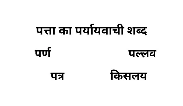 पत्ता का पर्यायवाची शब्द